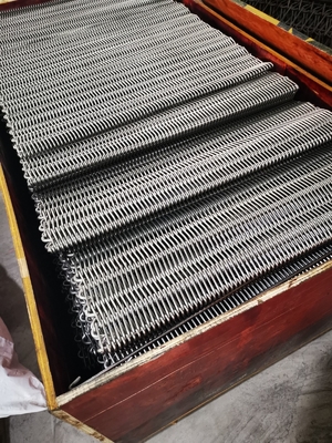 304 correas equilibradas de acero inoxidables de la transformación de los alimentos de la armadura para los huevos