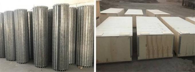 Red de alambre de acero inoxidable con bisagras herradura galvanizada de la banda transportadora 8