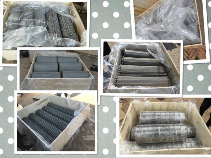 Fabricaci&oacute;n conductible de acero inoxidable Mesh Wire de la banda transportadora de SUS316L 6